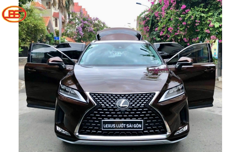 Lexus RX350 model 2020 Nâu